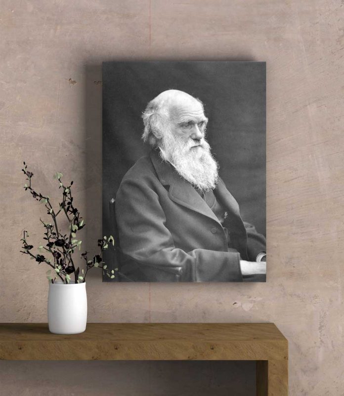 تابلو عکس چارلز داروین